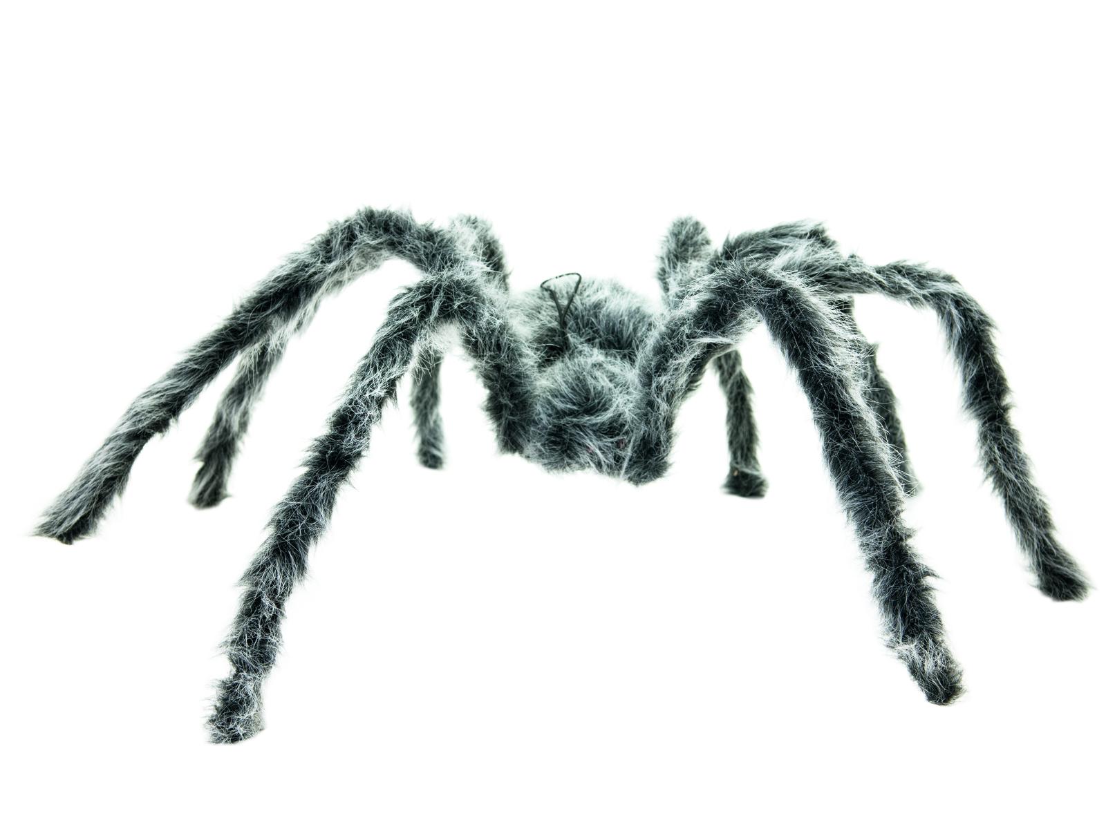 Pavouk šedý, 85cm