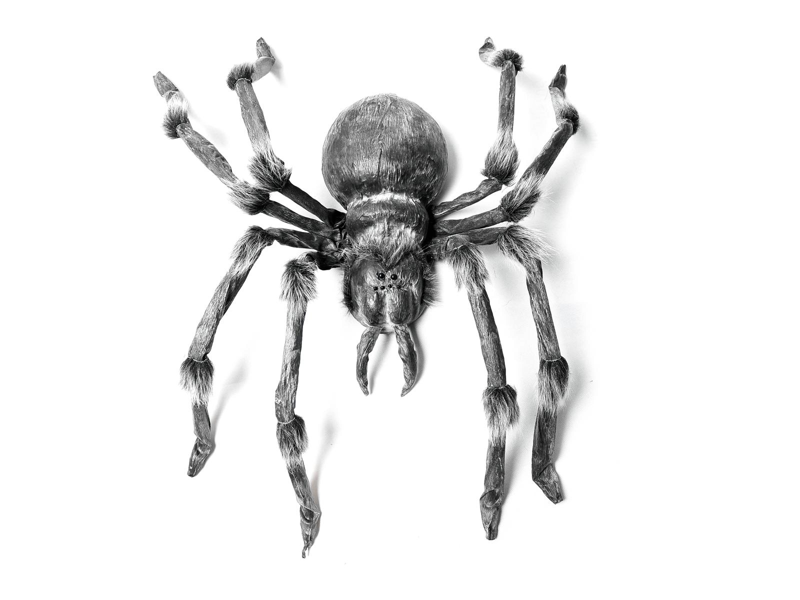 Pavouk šedý s kusadly 130cm