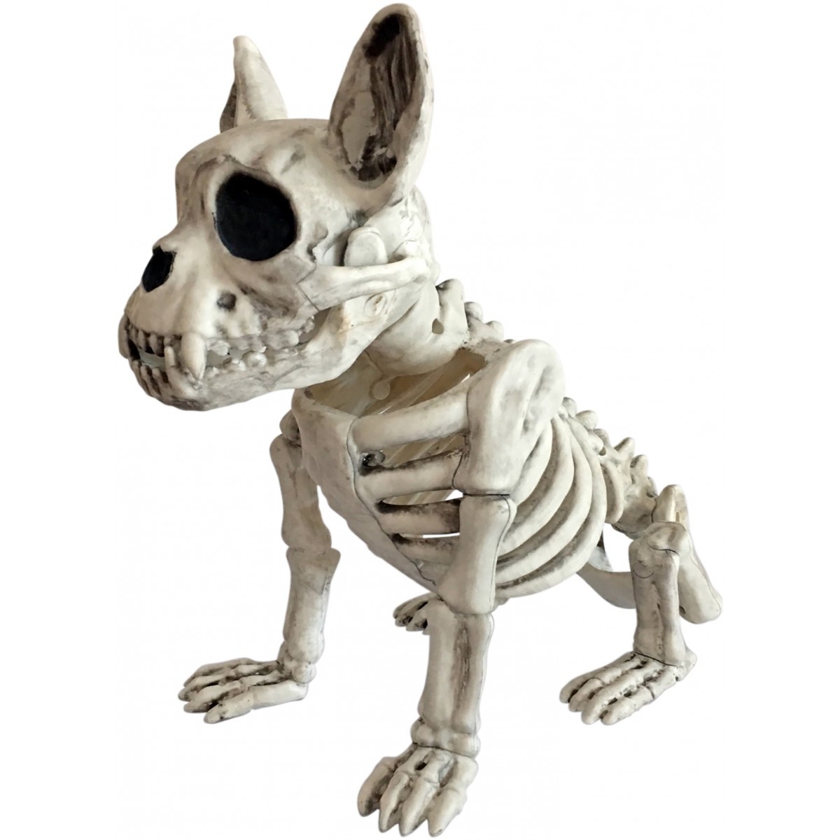 Halloween kostra psa, 28 cm