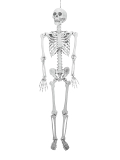 Halloweenská figurína Kostlivec, 160cm