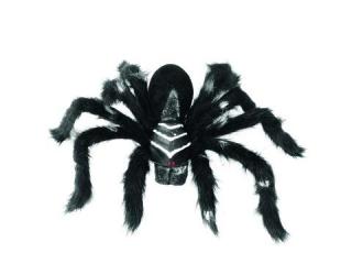 Pavouk černý, 70cm